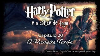 Harry Potter e o Cálice de Fogo  Capitulo 20  A Primeira Tarefa [upl. by Jacinthe]