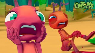 Break a Leg  Antiks  Funny Cartoons For Kids  Compilation [upl. by Naryt]