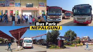 NEPALGUNJ Bus Park 4K🇳🇵 Virtual Walk Around Buspark Area [upl. by Atazroglam]