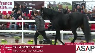 Lot 17  Agent Secret [upl. by Anivla]