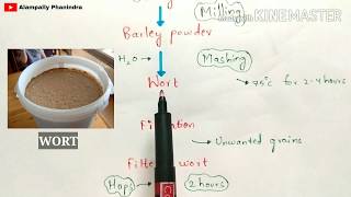 Preperation of Beer  Production of Beer by fermentation  Alcohol production by fermentation [upl. by Cathie]