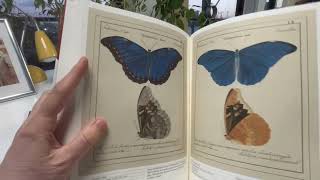 ICONOTYPES A Compendium of Butterflies amp Moths by RICHARD VANEWRIGHT [upl. by Helban589]