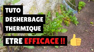 TUTO  être EFFICACE en désherbage thermique [upl. by Ahseenal]