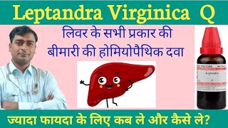 Leptandra Virginica Homoeopathic medicine for liverLeptandraQ usesdrkailashprasad [upl. by Gnilsia]