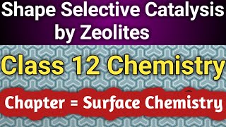 SHAPE SELECTIVE CATALYSIS BY ZEOLITES IN  HINDI   Class 12 Chemistry [upl. by Bugbee881]