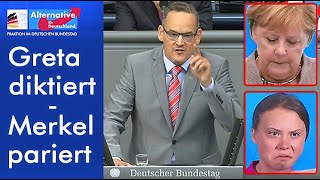 AfD gegen Altparteien [upl. by Ierna]