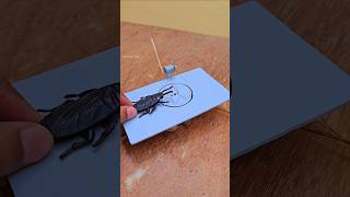 New cockroach trap 🤪 with spinning wheel experiment engineering trap funny cockroach [upl. by Hildick]