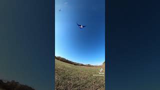 Coin Tosses Cascades And Slides Awesome Old School Kite Tricks With My Fusion By Benson Kites [upl. by Kraft821]