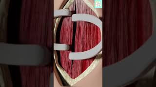 Tracheostomy procedure 3d Animation 3danimation 3d viral shortsfeed treatment [upl. by Meggie926]