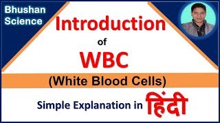 WBC White Blood Cells Introduction in Hindi  Bhushan Science [upl. by Bucella]