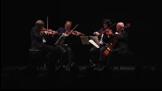 Quatuor Danel  Franz Schubert – Quartettsatz in C minor D703 [upl. by Sel]