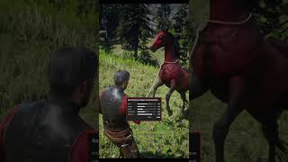 RARE Horse Location In RDR2 shorts rdr2 funny [upl. by Wymore]