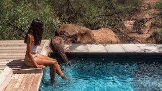 CAPE TOWN WILDLIFE SAFARI Inverdoorn Private Game Reserve🐘🦁 [upl. by Abrams]