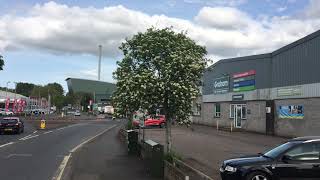 Rowan Sorbus aucuparia  tree  May 2018 [upl. by Alak]