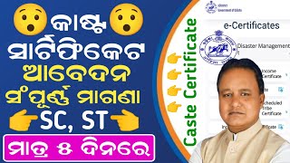 How to Apply Caste Certificate In Odisha  SC Caste Certificate Apply Online  SC ST OBC Certificate [upl. by Ellinet]