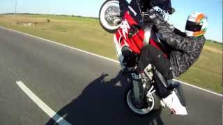 CBR 900RR Wheelie [upl. by Earal]