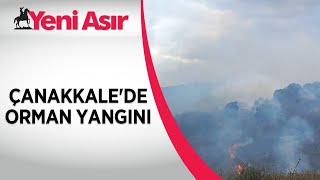 Çanakkalede orman yangını  Yeni Asır [upl. by Clair925]