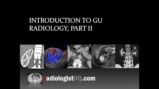 Introduction to Genitourinary Radiology Part II [upl. by Dorey]