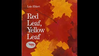 Red leaf Yellow Leaf Storywalk [upl. by Arinayed]