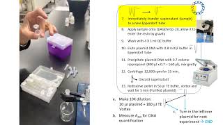 Exp 9 Plasmid Prep  Qiagen kit [upl. by Sweeney]