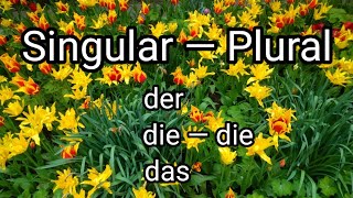 Deutsche Nomen Singular und Plural der die das Einzahl und Mehrzahl viele einige alle keine [upl. by Mozelle]