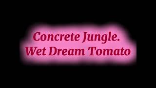 Congrade Jungle Wet Dream Tomato [upl. by Areivax]