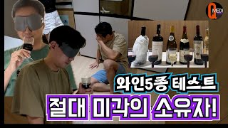 큐와인생 MZ의사들의 제 1회 와인 5종 블라인딩 테스트와인리뷰 [upl. by Araec63]