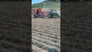 Tractor 6250R John Deere grimme johndeere [upl. by Diogenes355]