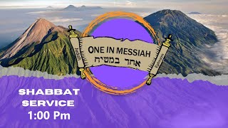 One In Messiah Torah Reading amp Midrash [upl. by Alten]