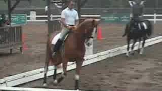 Hallmark and Jeremy Steinberg schooling at Gladstone [upl. by Essinger893]