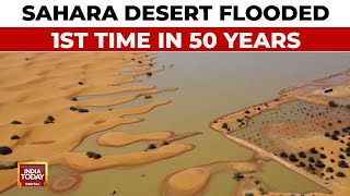 Unprecedented Flooding In Sahara Desert After 50 Years Is It A Climate Change Warning India Today [upl. by Trust655]