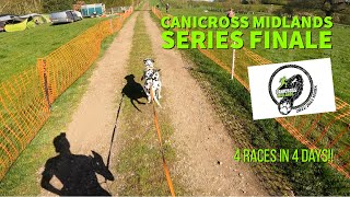 CANICROSS MIDLANDS series finale 4 DAYS of RACING [upl. by Anrev647]