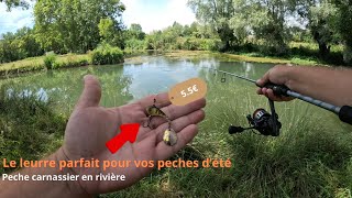 Ce leurre CAPERLAN est PARFAIT pour vos pêches dété [upl. by Catie]