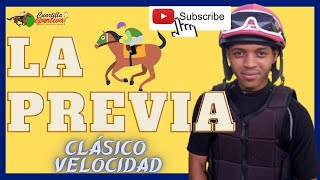 🏆 ✔️Trusman QUEVEDO 🏇 🏆 🏆 Clásico VELOCIDAD🏆 MR PAPRINGO La Previa [upl. by Thorfinn]