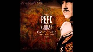 Pepe Aguilar  El Palo Verde [upl. by Carolyne]