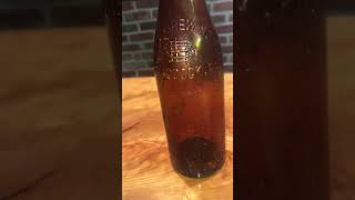 Home Brewing Braddock PA Found Bottle Digging Pittsburgh antiques beer bottledigging [upl. by Nylrac]