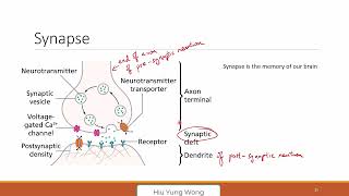 26B  Neuromorphic Computing Memory Hierarchy and Neurons [upl. by Akkire684]