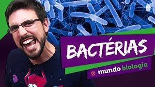 🦠 Microbiologia 25 Bactérias  Biologia  ENEM [upl. by Enyallij805]