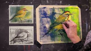 Palm Warbler in Pastel with Marla Baggetta [upl. by Anse747]