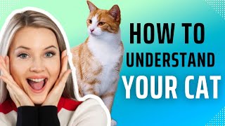 how to understand your cat body language [upl. by Eemia]