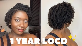 1 YEAR MICROLOCS UPDATE  Install Day to 12 Months [upl. by Iek]