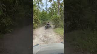 Another Dusty Trail  Honda Pioneer 520 Yamaha Grizzly Silver Lake OHV redclayriders atv shorts [upl. by Edia]