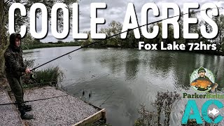 Coole Acres Fishery  Fox Lake  72hr  Carp Fishing 2024 [upl. by Dnaltiak746]