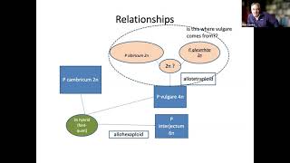 Polypody Ferns in the British Isles origins ecology distribution and identification  Rob Cooke [upl. by Odlonra]