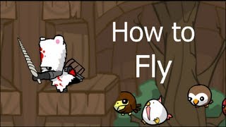 How to Fly in Castle Crashers  Bonus [upl. by Ayk]