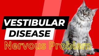 Vestibular Disease in Cats  Symptoms Causes Diagnosis  Animalia Dot pk [upl. by Chemosh]