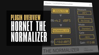 The Normalizer by Hornet  Auto Gain Staging  every daw should have this [upl. by Nivar]