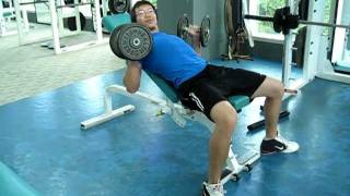 Cara melakukan Incline DB Bench Press [upl. by Glarum781]