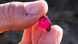 Rubies from Aappaluttoq Greenland [upl. by Janet12]