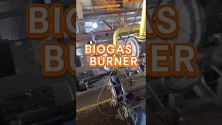 BIOGAS BURNER boilerbiogásburnerteknologi controlfypshots [upl. by Annel]